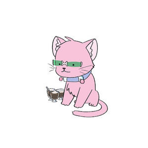 Meet your Posher, Kelsy